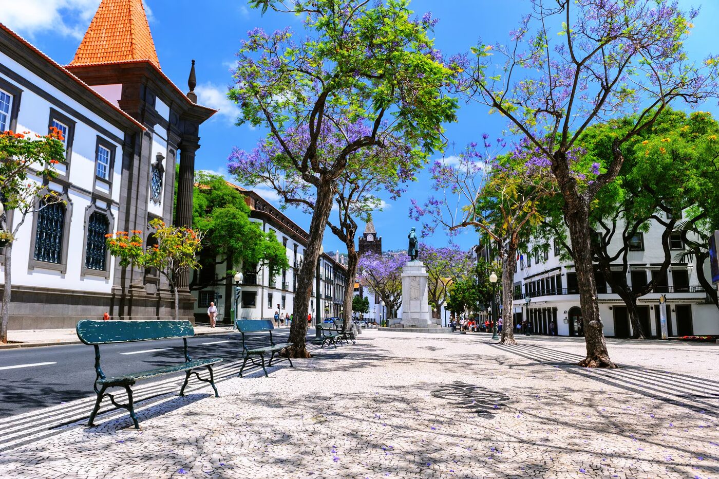 Funchal old town street with jacaranda trees